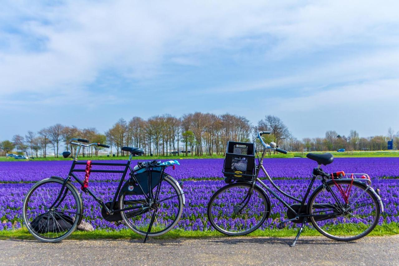Bed and breakfast Slapen Bij De Buurvrouw